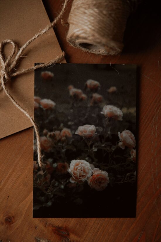 PASTKARTĪTE "MAIGUMS"