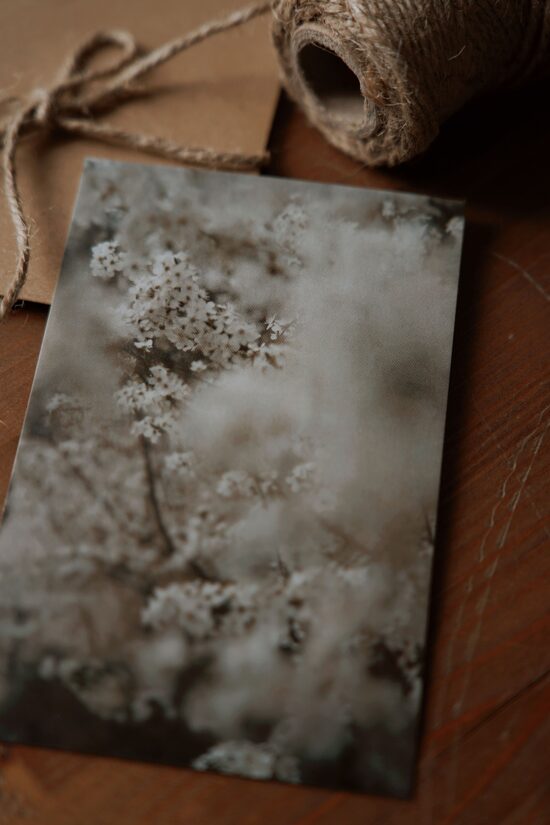 PASTKARTĪTE "PAVASARIS"