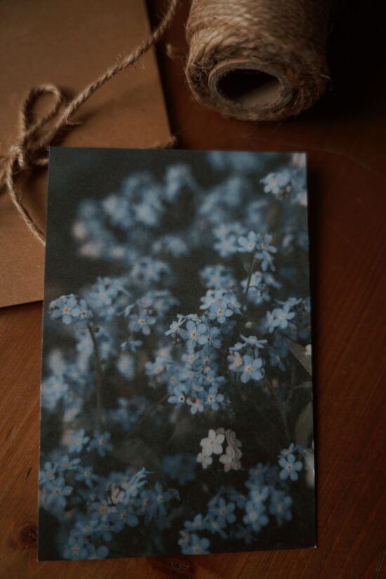 PASTKARTĪTE "ES TEVI NEAIZMIRSĪŠU"