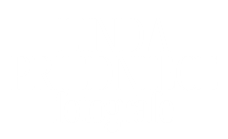 www.lindapriedniece.com